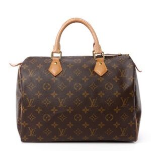Louis Vuitton Purse